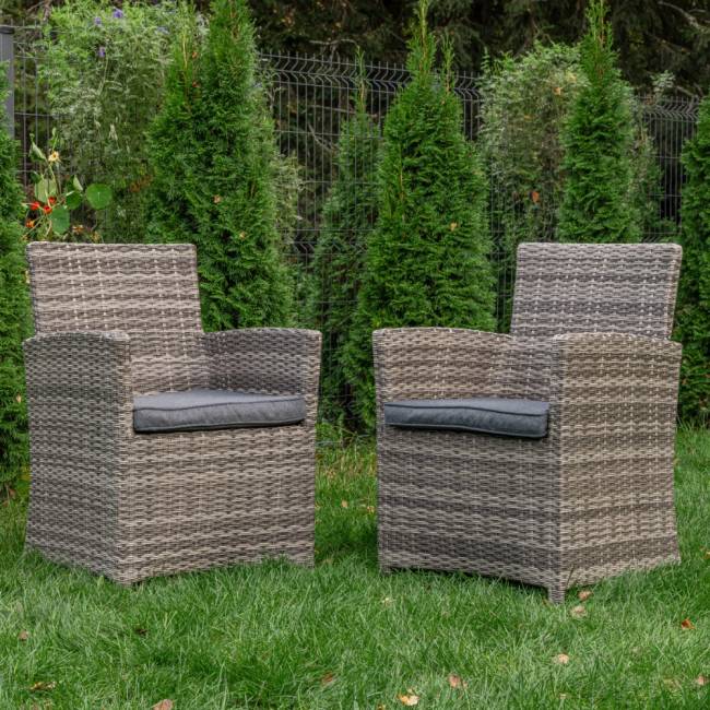 Комплект кресел FIONA в сером цвете