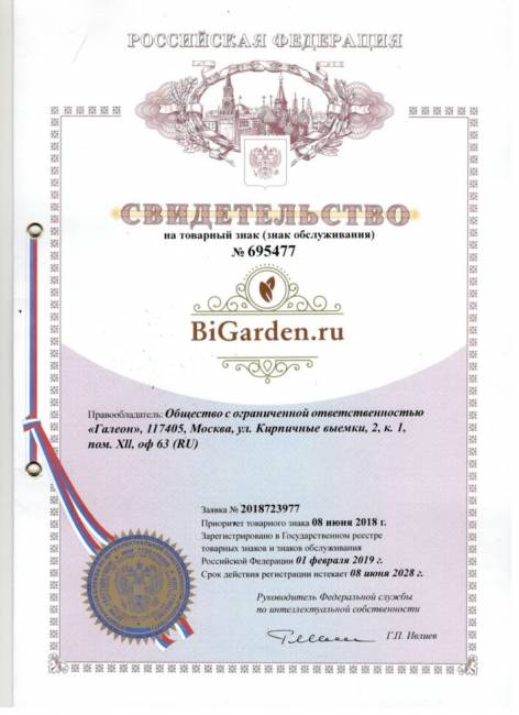 Подвесное кресло из ротанга "Kokos Black" Зеленая подушка